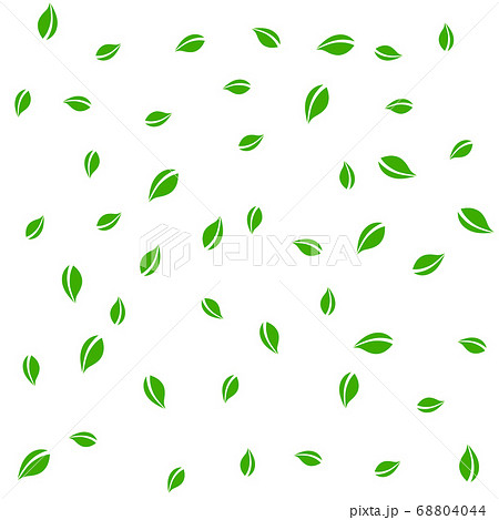 Falling green leaves. Fresh tea random leaves flyi 68804044