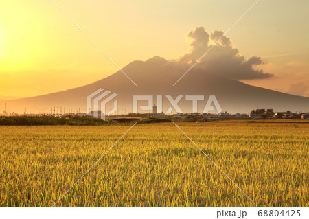 秋の収穫を迎えた田園風景と岩木山 秋の収穫を迎えた田園風景と岩木山 68804425
