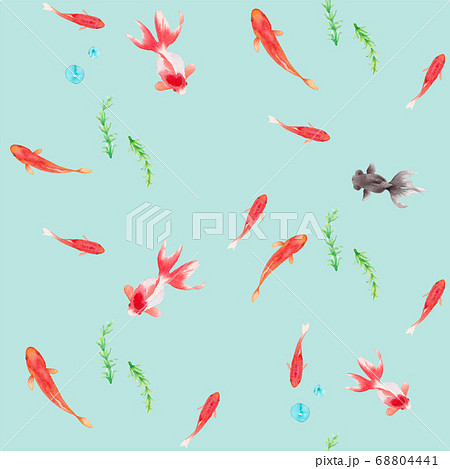 涼しげな金魚と水草のパターン 水彩イラスト のイラスト素材