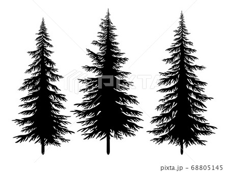 Set of Christmas Trees 68805145