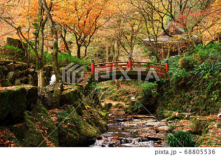 紅葉の横蔵寺:岐阜 紅葉の横蔵寺:岐阜 68805536