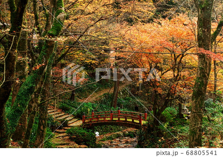 紅葉の横蔵寺：岐阜 68805541