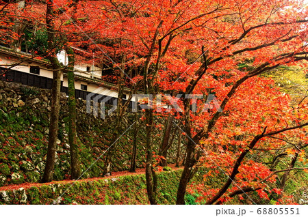 紅葉の横蔵寺 岐阜の写真素材