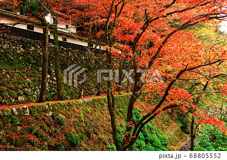 紅葉の横蔵寺 岐阜の写真素材