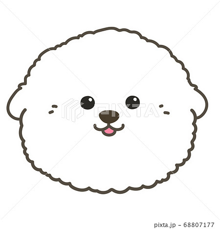 ビション フリーゼの子犬の顔 主線ありのイラスト素材
