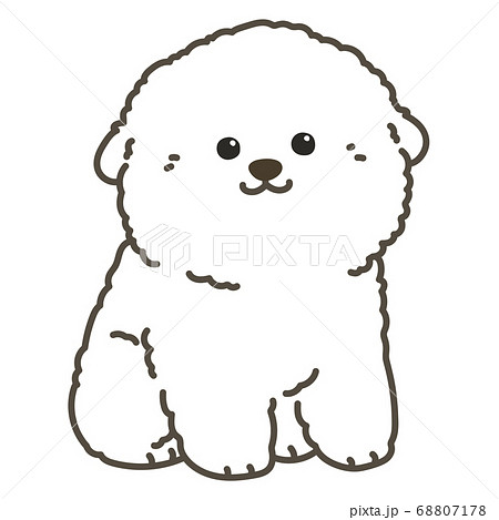 Sitting Bichon Frize Puppy With Main Line Stock Illustration