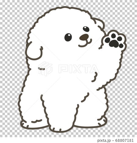 比熊犬幼犬與主線坐著揮舞著 比熊犬幼犬與主線坐著揮舞著 68807181