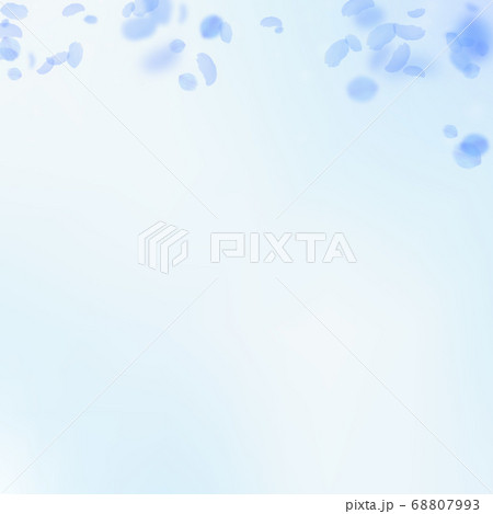 Dark blue flower petals falling down. Powerful rom Dark blue flower petals falling down. Powerful rom 68807993
