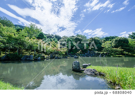 夏の京都 嵐山 天龍寺 曹源池庭園の写真素材