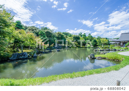 夏の京都 嵐山 天龍寺 曹源池庭園の写真素材