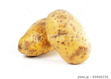 Unpeeled raw potatoes 68808156