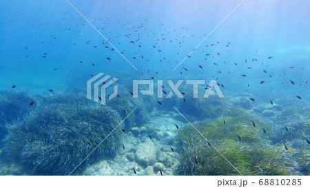 Sardinia crystal water underwater view while 68810285