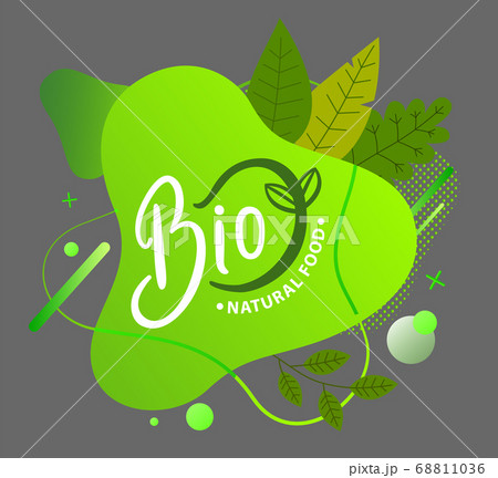Bio concept green logo. Leaves and bubbles, irregular circle shape. Flat icon isolated on grey 68811036