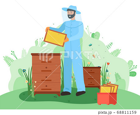Beekeeper on the apiary. Beekeeping, honey. Bee Sting Protection uniform. Beehives with honeycombs 68811159