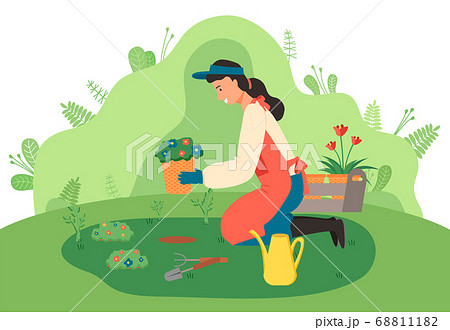 A female gardener sits flowers in the garden. Garden tools. Floristics and gardening. Flat image A female gardener sits flowers in the garden. Garden tools. Floristics and gardening. Flat image 68811182