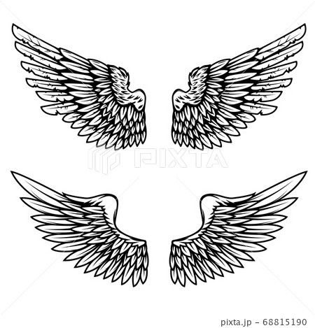 Vintage wings isolated on white background. Design 68815190