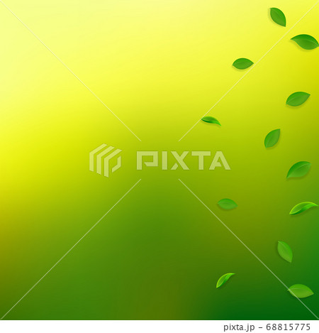 Falling green leaves. Fresh tea random leaves flyi 68815775