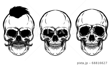 Set of the skulls isolated on white background. 68816627