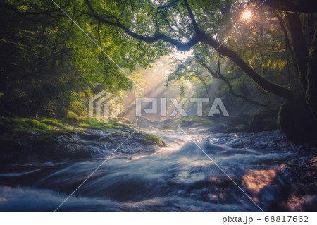 菊池渓谷 68817662