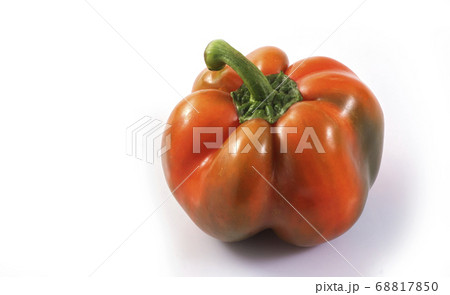 Fresh one red capsicum annuum or sweet chili or 68817850