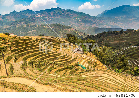 Terraced rice field in Sapa Terraced rice field in Sapa 68821706