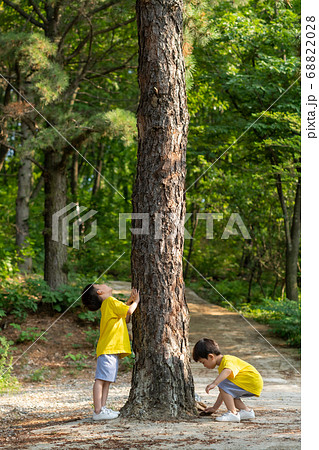 兄弟 男 男性 68822028