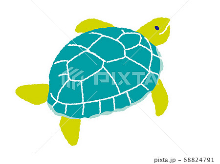 Turtle Illustration Stock Illustration