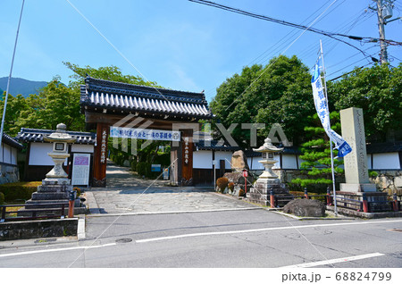 西教寺 総門 大津市 西教寺 総門 大津市 68824799