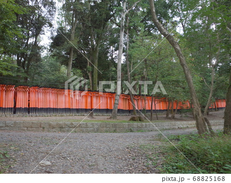 千本鳥居_外から_伏見稲荷大社 千本鳥居_外から_伏見稲荷大社 68825168