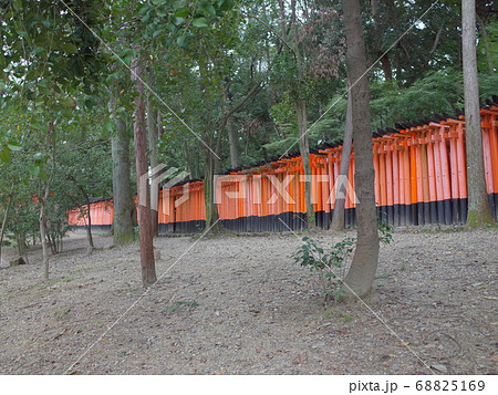 森の中の千本鳥居_伏見稲荷大社 森の中の千本鳥居_伏見稲荷大社 68825169