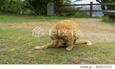 尾道 景色 68825332