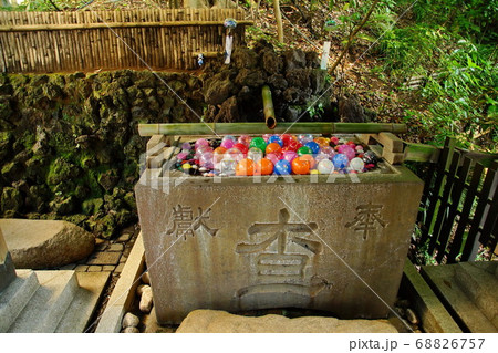 横浜　伊勢山皇大神宮　手水舎・ヨーヨー風船　新裏参道 （ 皇大神宮 ） 神奈川県 横浜市 西区 宮崎 68826757