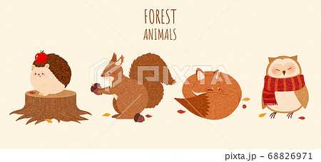 Set of autumn forest animal element 68826971