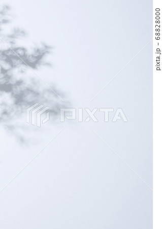 白い背景に落ちら木漏れ日の影 68828000