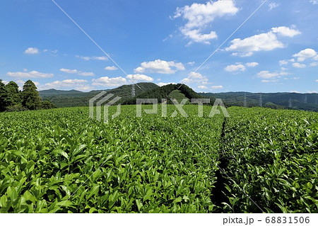 宇治茶の里　和束町 68831506