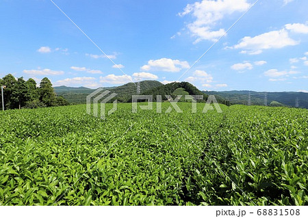 宇治茶の里 和束町 宇治茶の里 和束町 68831508