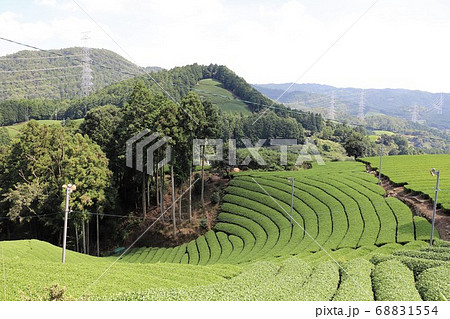 宇治茶の里　和束町 68831554