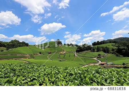 宇治茶の里　和束町 68831638