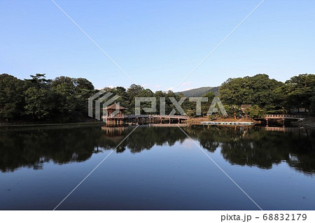 夏の奈良公園 夏の奈良公園 68832179