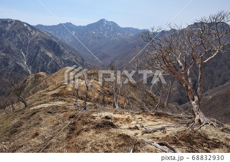 足尾 太平山南西尾根中腹から見る渡良瀬川源流の山々 足尾 太平山南西尾根中腹から見る渡良瀬川源流の山々 68832930