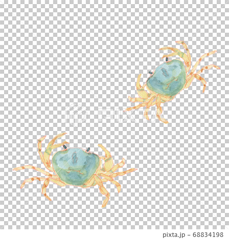 青い二匹のサワガニの水彩画 青い二匹のサワガニの水彩画 68834198