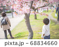 桜に触れる子供 68834660