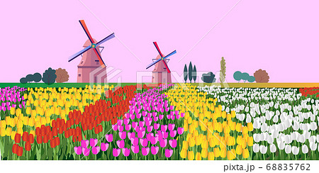 Vector illustration of a landscape with Dutch tulips and windmills. For design posters and greetings. 68835762