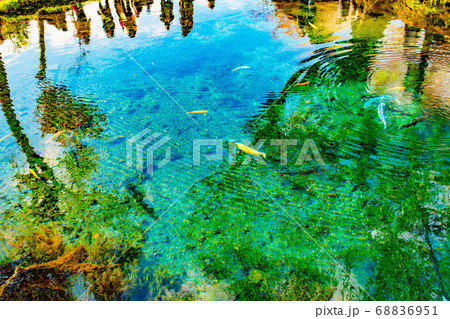 秋の忍野八海日帰り旅 68836951