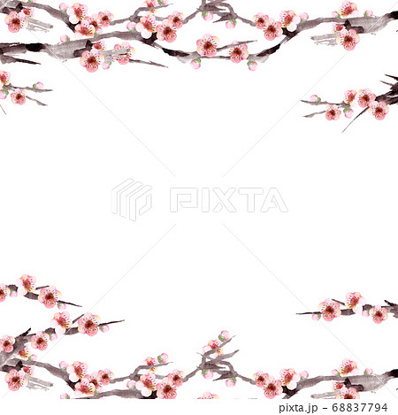 水彩の梅の花フレームのイラスト素材