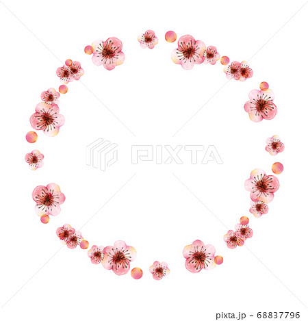 水彩の梅の花フレームのイラスト素材