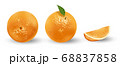 Realistic set of oranges isolated on white. Fresh ripe oranges with leaves. Tropical fruits vector illustration 68837858