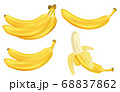 Realistic set of bananas isolated on white. Bunches of fresh yellow banana fruits. Tropical fruits vector illustration 68837862