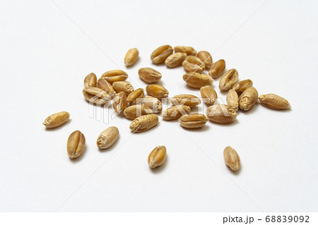 Natural dry wheat grains on white background.  68839092