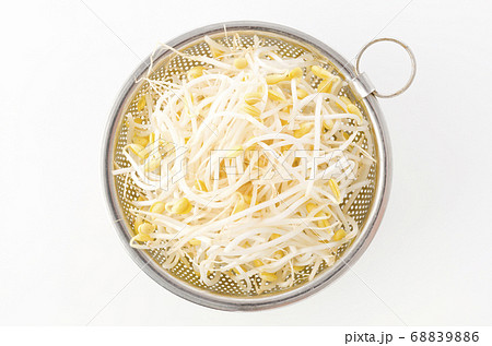 大豆もやし 68839886